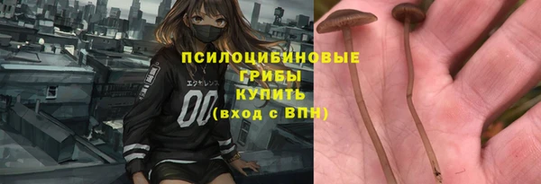 марихуана Новодвинск