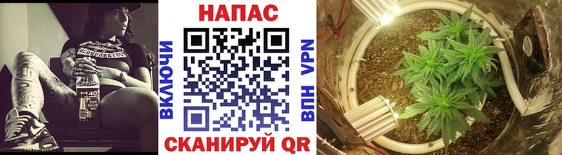 Каннабис THC 21%  Нижняя Салда 
